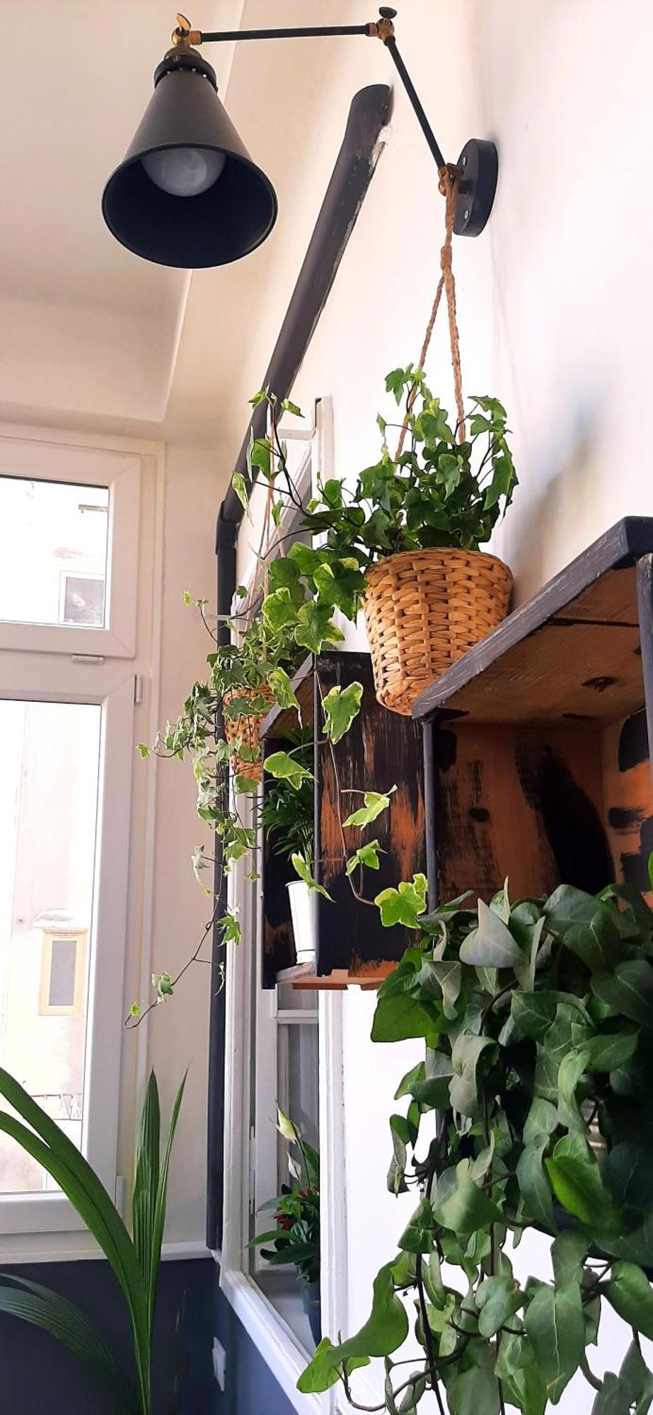 Saint Jack Luxury Apartment Trieste Luaran gambar